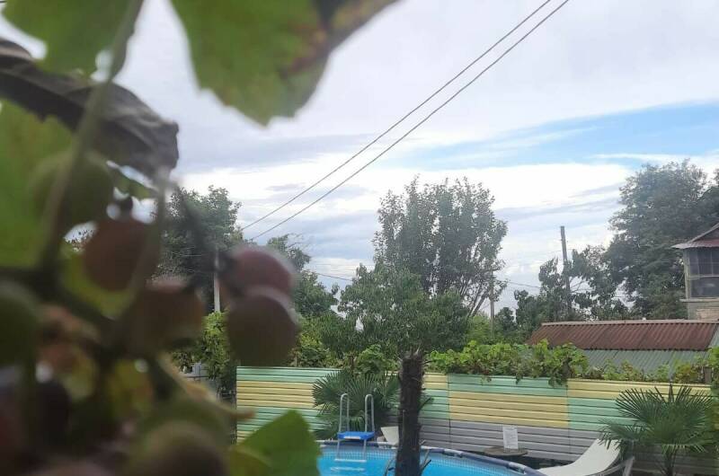 Изображение Изображение гостиницы "Частный дом «Дом друзей на Звездной»" #2 #2