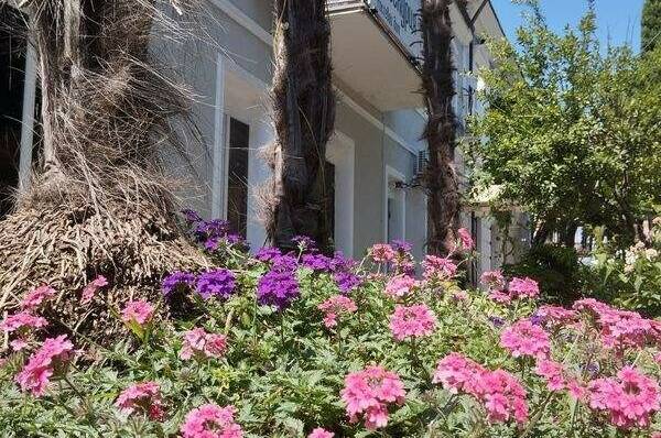 Изображение Изображение гостиницы "Гостевой дом «Dioskuria»" #3 #3