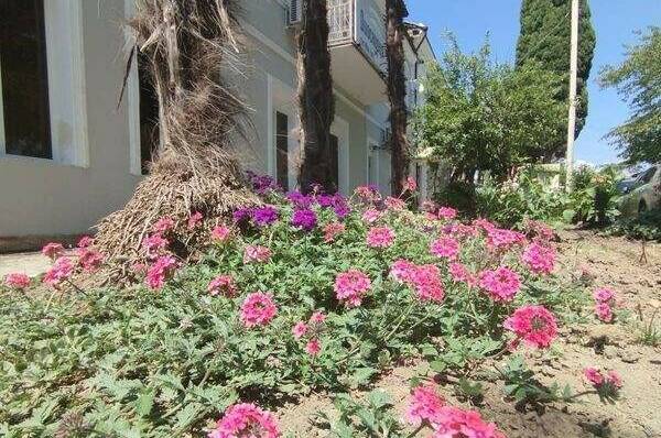 Изображение Изображение гостиницы "Гостевой дом «Dioskuria»" #4 #4