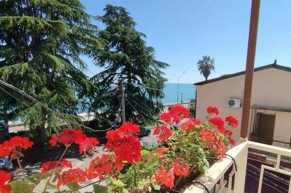 Изображение Изображение гостиницы "Гостевой дом «Dioskuria»" #7 #7