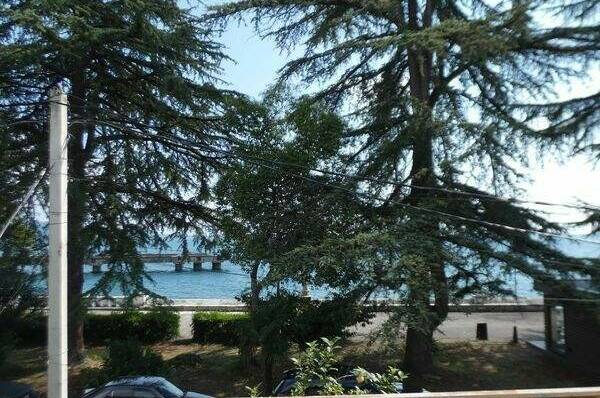 Изображение Изображение гостиницы "Гостевой дом «Dioskuria»" #8 #8