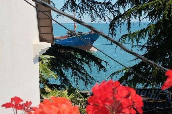 Изображение Изображение отеля / гостиницы "Гостевой дом «Dioskuria»" #10 #8