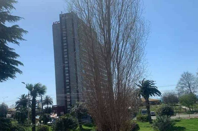 Изображение Изображение квартиры "Однокомнатная квартира у моря" #6 #6