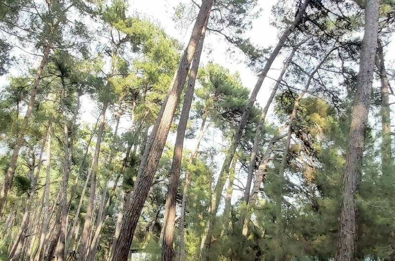 Изображение Изображение гостиницы "Гостевой дом «Пегас»" #4 #4