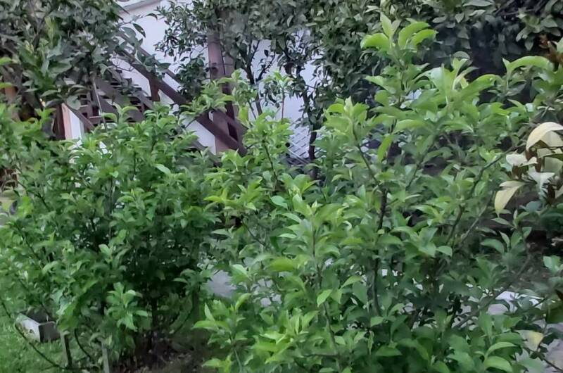 Изображение Изображение гостиницы "Гостевой дом «Пегас»" #7 #7