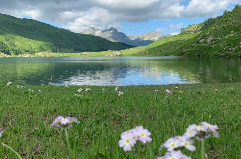 Изображение Изображение гостиницы "Гостевой дом «Пегас»" #8 #8