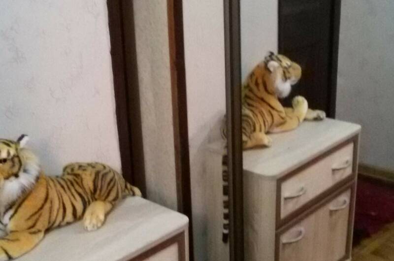 Изображение Изображение квартиры / апартамента "Квартира «Отдых у Ольги»" #10 #8