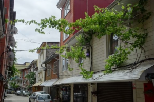 Изображение Гостевой дом «Наталья» #4