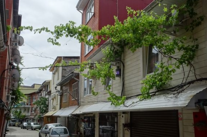 Изображение Изображение гостиницы "Гостевой дом «Наталья»" #1 #1