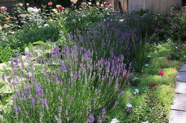 Изображение Изображение гостиницы &quot;Гостевой дом «Солнечный»&quot; #4 #4