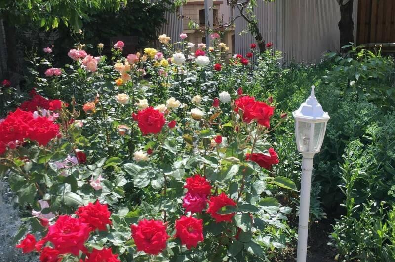 Изображение Изображение отеля / гостиницы "Гостевой дом «Солнечный»" #10 #8