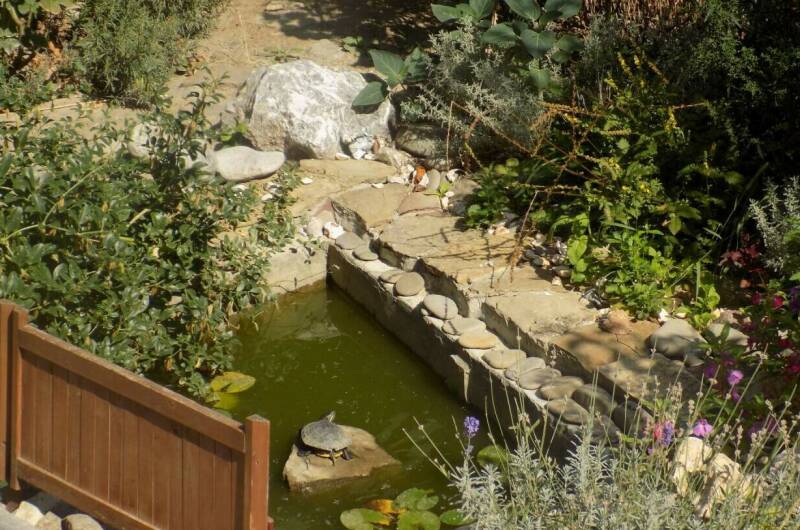 Изображение Изображение отеля / гостиницы "Гостевой дом «Олива»" #10 #8