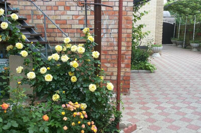 Изображение Изображение квартиры &quot;Дом под ключ до 5 человек&quot; #1 #1