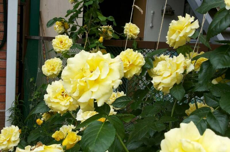 Изображение Изображение квартиры &quot;Дом под ключ до 5 человек&quot; #5 #5