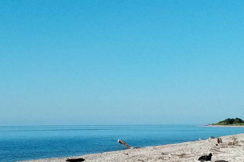 Изображение Изображение квартиры &quot;Квартира у моря&quot; #8 #8