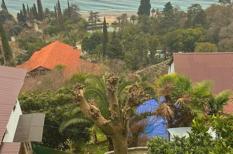 Изображение Изображение гостиницы "Гостевой дом «Панорама-Гагра»" #5 #5