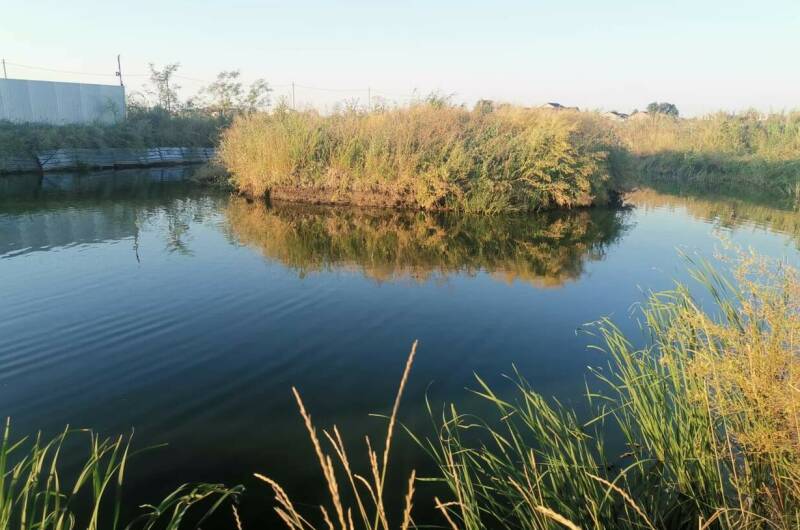 Изображение Изображение гостиницы &quot;Гостевой дом «Адмирал»&quot; #8 #8