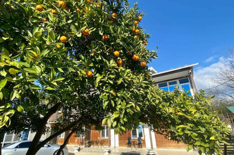 Изображение Изображение гостиницы "Мини-отель «Фортуна»" #5 #5