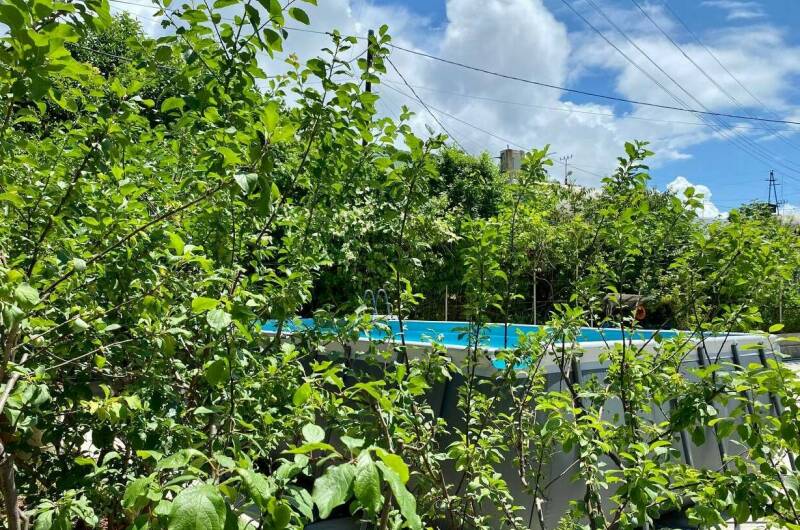 Изображение Изображение гостиницы "Гостевой дом «Калипсо»" #2 #2