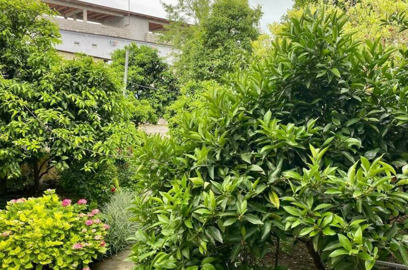 Изображение Изображение отеля / гостиницы "Гостевой дом «Калипсо»" #10 #8