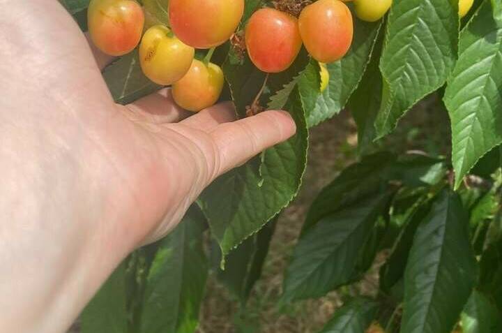 Изображение Изображение гостиницы &quot;Гостевой дом «Отдыхай Ка»&quot; #6 #6