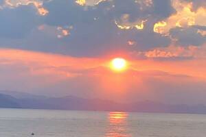 Изображение Апартаменты на пляже «Дельфин» #6