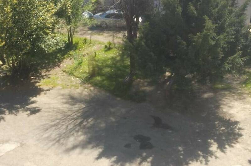 Изображение Изображение квартиры &quot;Квартира у моря&quot; #2 #2