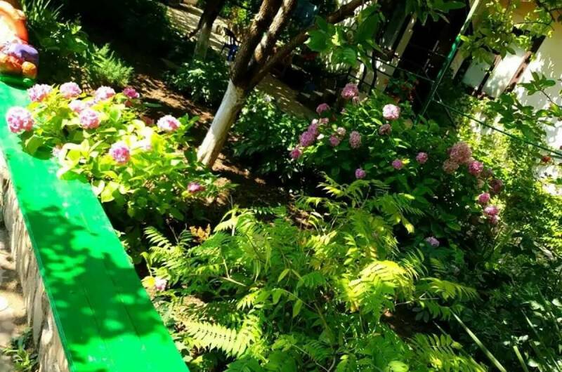 Изображение Изображение гостиницы &quot;Гостевой дом «Волна»&quot; #4 #4