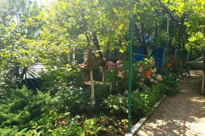 Изображение Изображение гостиницы &quot;Гостевой дом «Волна»&quot; #5 #5