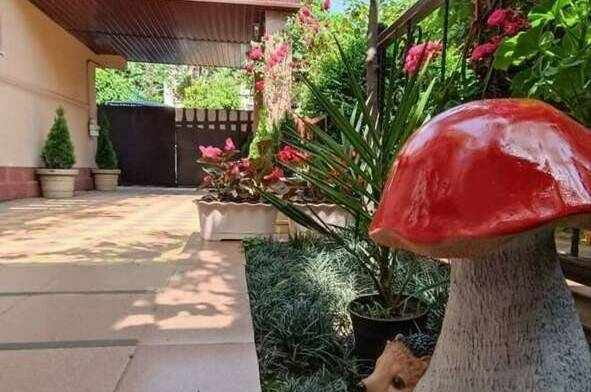 Изображение Изображение гостиницы &quot;Гостевой дом «Киви дом»&quot; #1 #1