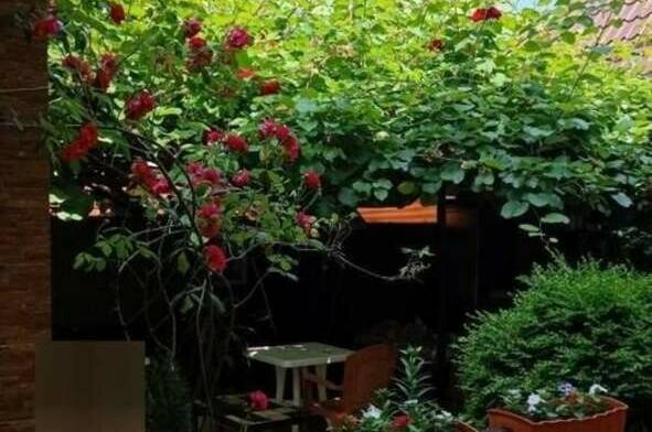 Изображение Изображение гостиницы &quot;Гостевой дом «Киви дом»&quot; #2 #2