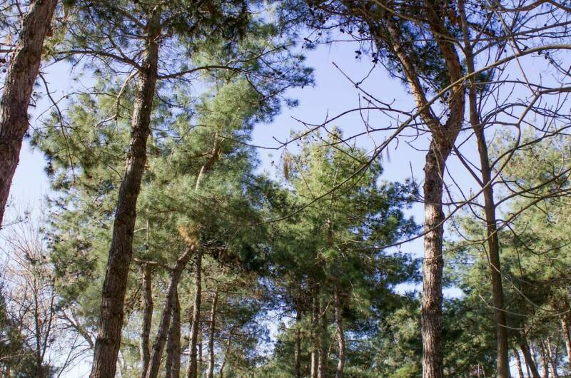 Изображение Изображение квартиры &quot;Апартаменты в ЖК «Колорит»&quot; #3 #3