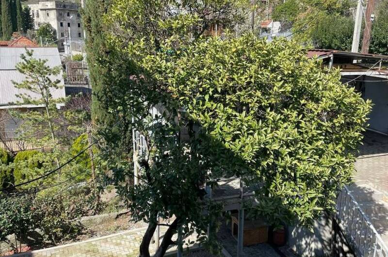 Изображение Изображение гостиницы "Гостевой дом «Апельсин»" #7 #7