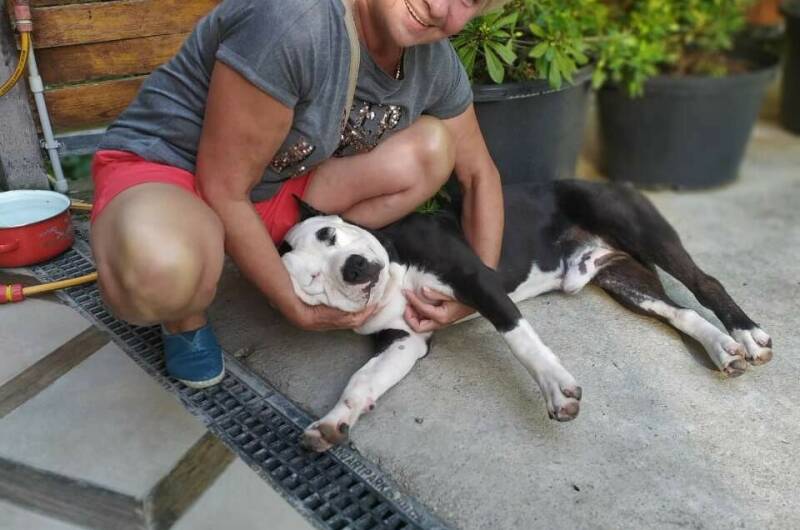 Изображение Изображение гостиницы "Мини-гостиница «Гнездо Белой совы»" #6 #6