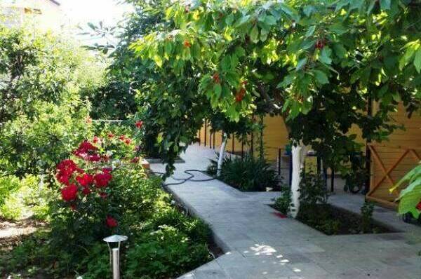 Изображение Изображение гостиницы &quot;Гостевой дом «Африка»&quot; #6 #6