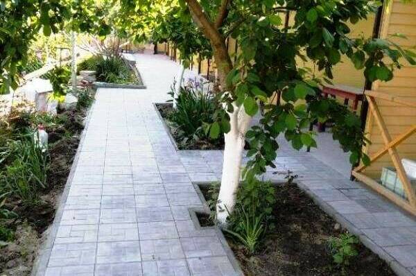 Изображение Изображение гостиницы &quot;Гостевой дом «Африка»&quot; #8 #8