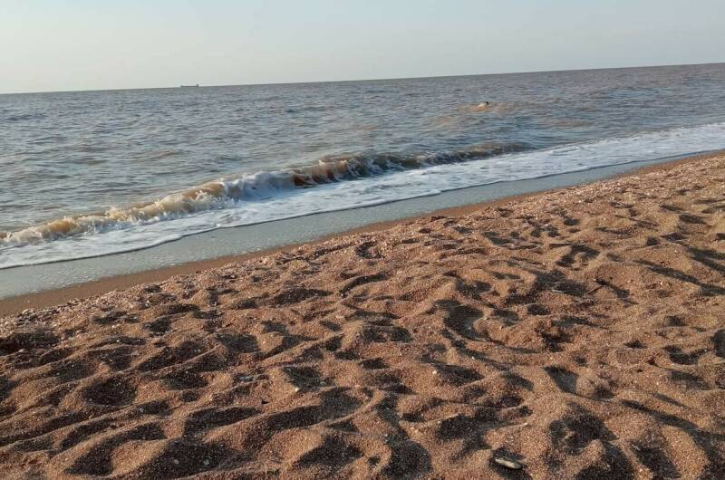 Изображение Изображение квартиры &quot;Квартира-студия у моря&quot; #7 #7