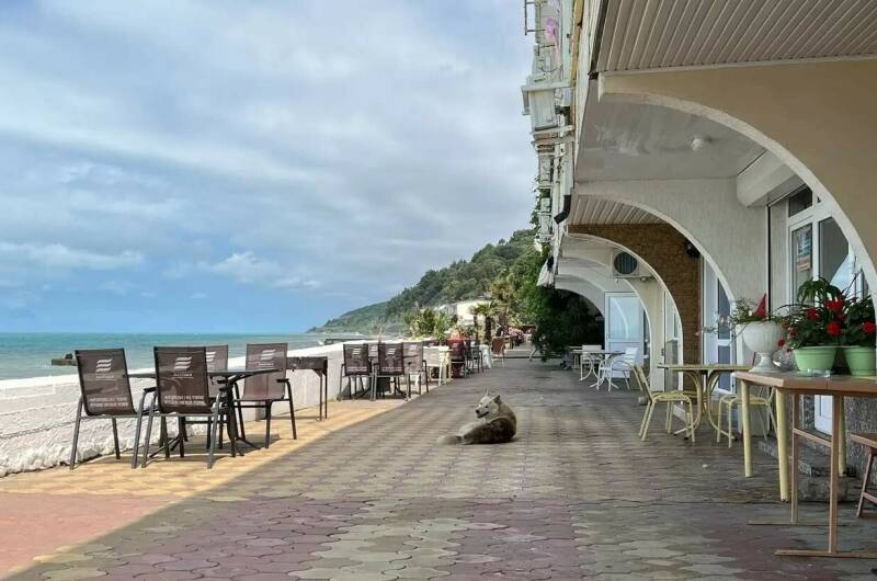 Изображение Изображение гостиницы &quot;Гостевой дом «Кипарис»&quot; #4 #4