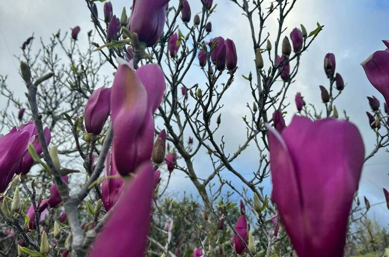 Изображение Изображение гостиницы "Апартаменты «Изабелла»" #4 #4