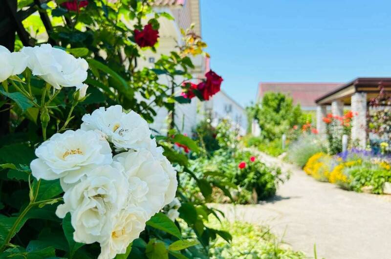 Изображение Изображение гостиницы &quot;Гостевой дом «АнастаSea»&quot; #5 #5