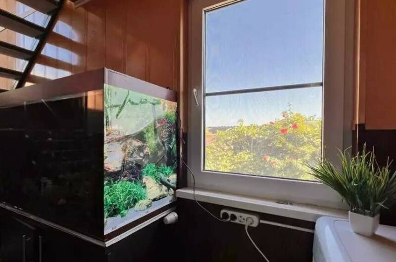 Изображение Изображение гостиницы &quot;Апартаментный комплекс «Home Nuk Family»&quot; #4 #4