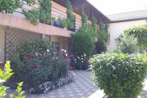 Изображение Частный дом на Жемчужной #6