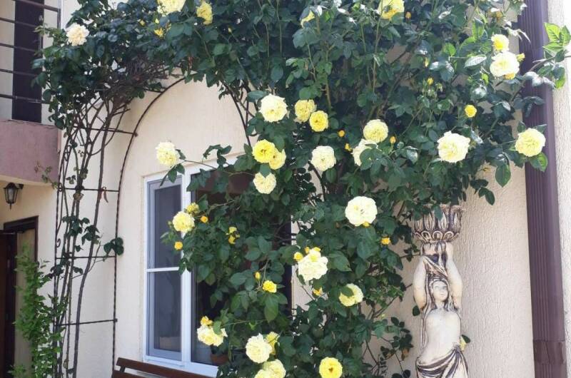 Изображение Изображение отеля / гостиницы "Частный дом на Жемчужной" #10 #8