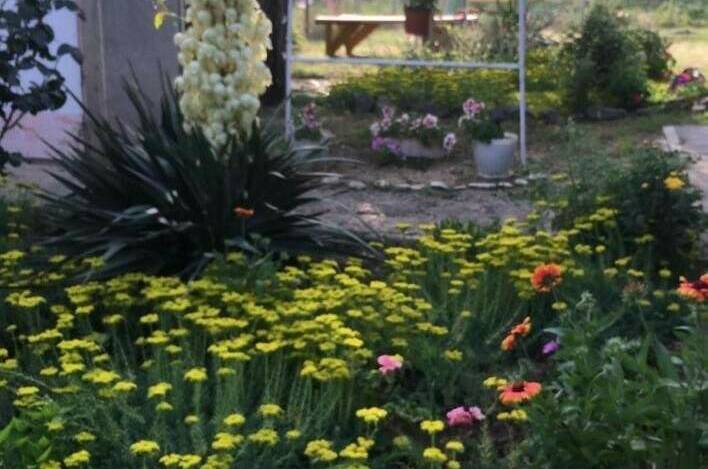 Изображение Изображение гостиницы "Гостевой дом «Елена»" #3 #3