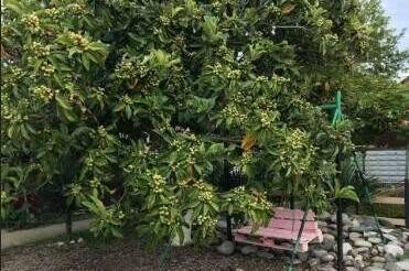 Изображение Изображение гостиницы "Гостевой дом «Ангелина»" #1 #1