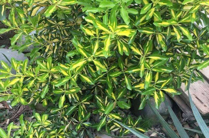 Изображение Изображение гостиницы "Гостевой дом «Ангелина»" #7 #7