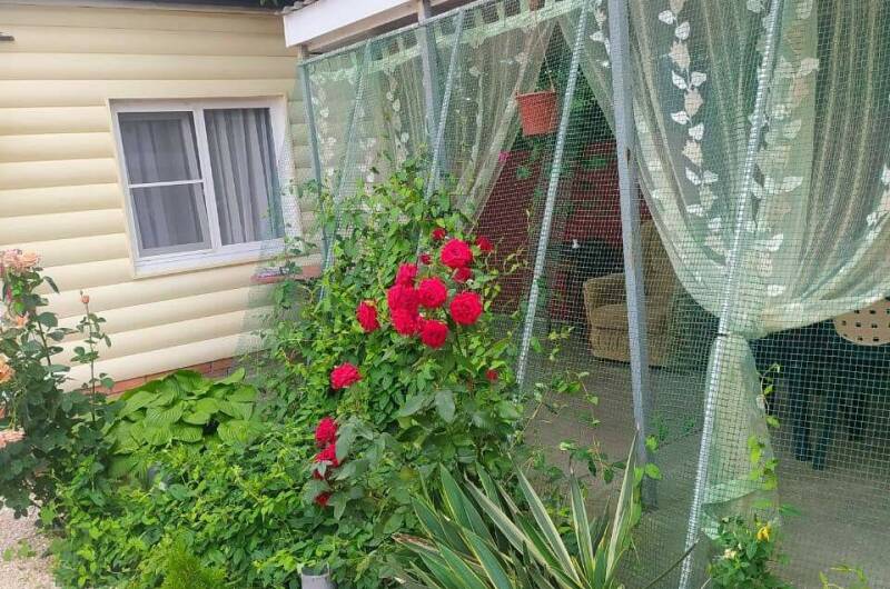 Изображение Изображение гостиницы "Домики «У Любови»" #5 #5