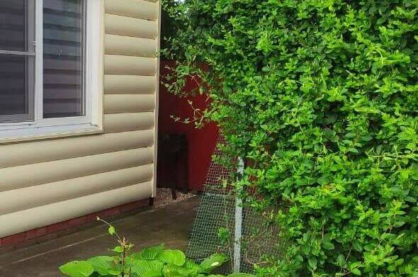 Изображение Изображение гостиницы "Домики «У Любови»" #7 #7