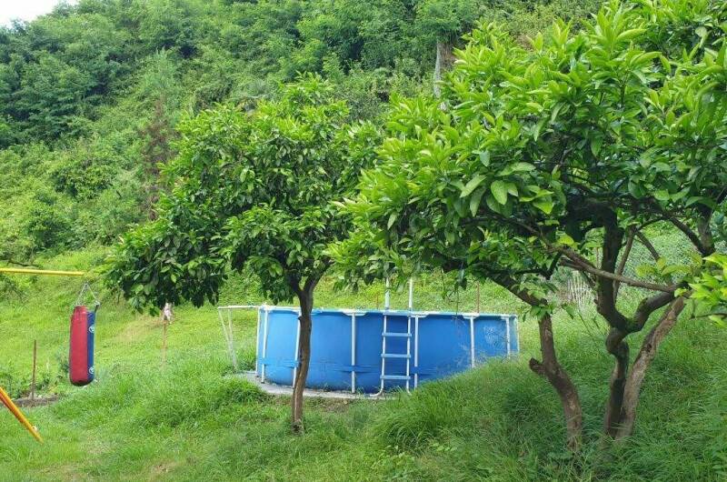 Изображение Изображение квартиры "Дом для большой семьи" #7 #7