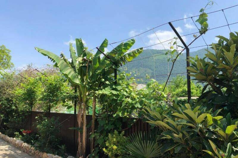 Изображение Изображение гостиницы "Гостевой дом «Фазенда»" #6 #6